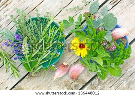 fresh herbs, edible flowers and garlic on a garden table