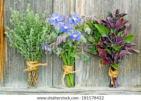 various fresh bouquet of herbs in front of a wooden wall