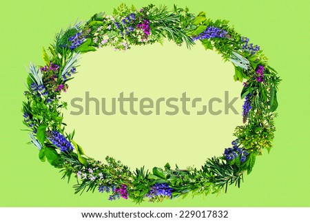 oval frame of fresh herbs on green