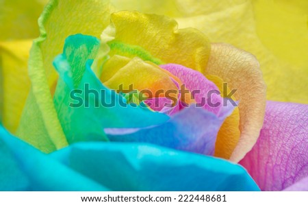 petals closeup rainbow roses