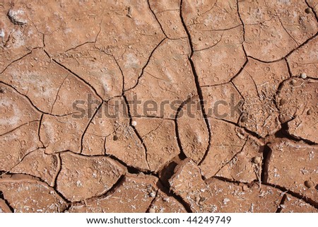 Cracked red dirt, taken in a desert in China.