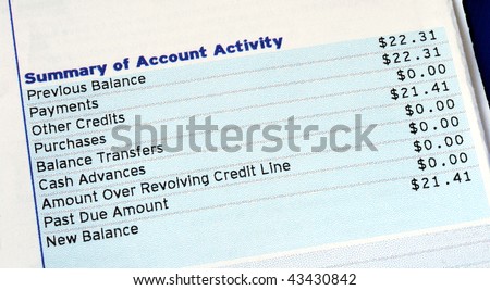 Summary of account activity of a credit card bill