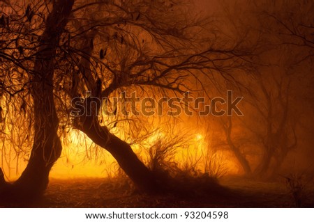 Landscape painting showing creepy forest in the fog on dark autumn night.