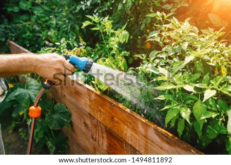 Similar – Image, Stock Photo Anonymous gardener with spring flowers at table