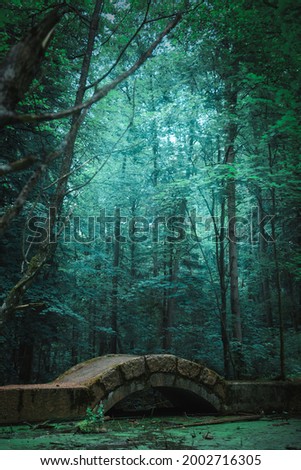 Beautiful mystical forest with old bridge, green fairy background
