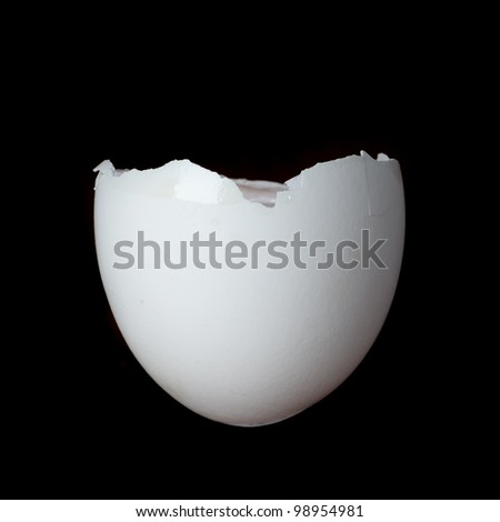 Egg shell on dark background