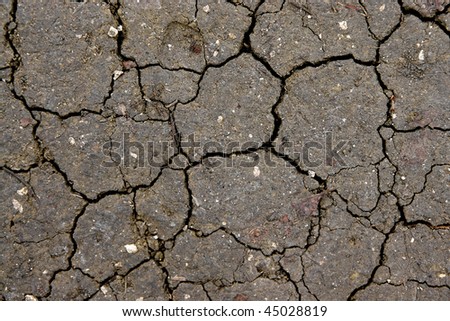 Dry mud field for background.