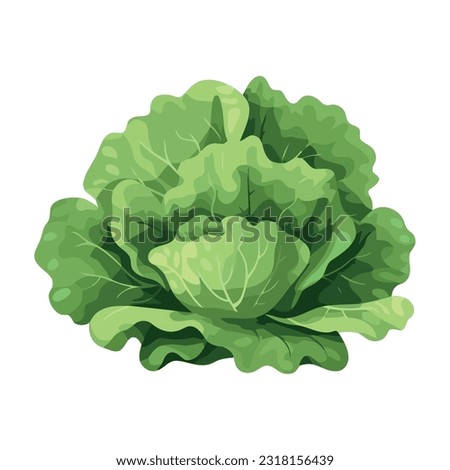 Fresh organic lettuce, healthy meal option icon isolated