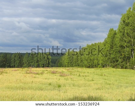 Summer landscape in cloudy weather with a view of the field, forest and sky in the clouds