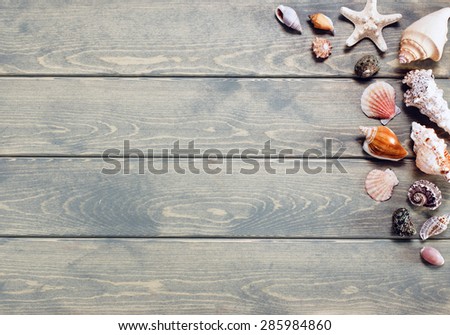 Sea and marine items such as seashells on wooden background.