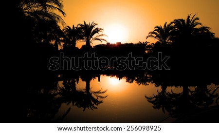 Sunset and Silhouetted Palm Trees Reflected in the Water. Travel destination.
 Idyllic tropical sunset. Palm Trees Silhouetted In Bright Orange Sky Sunset. 
Travel Destination. Summer Resort.