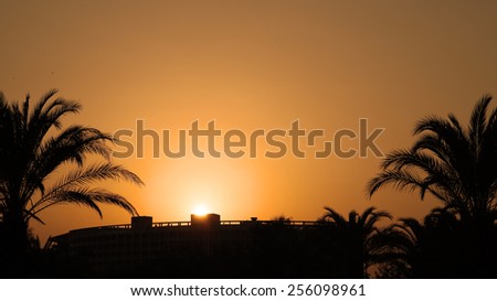 Orange Sunset With Palm Trees. Travel Destination. Summer Resort.\
Palm Trees Silhouetted In Bright Orange Sky Sunset.