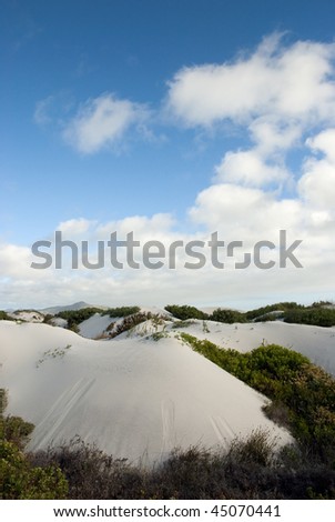 Desert scene with white sand and bushy plants scattered around, with blue skies and white clouds overhead