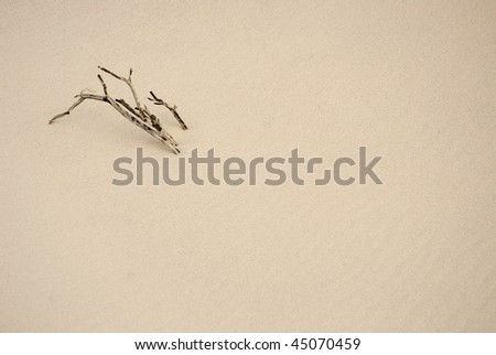 Dried out branch lying on white desert sand, in the top left third, with the sand filling the rest of the frame