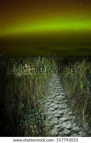 The aurora/northern lights shine in green, yellow and red over Lake Michigan with a beach trail in the foreground.