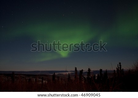 The aurora, also know as the northern lights north of Fairbanks, AK. Picture was taken on January 3, 2010.