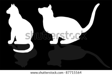 animal - CAT, vector