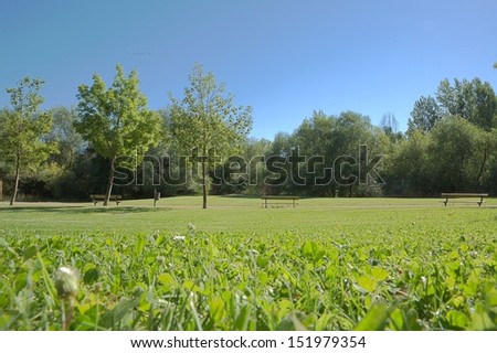 A public area in mulch beside a grassy lawn