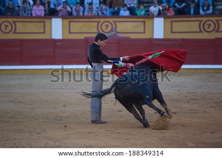BADAJOZ, SPAIN, APRIL 12: The spanish torero Gines Marin performing a bullfight, on April 12, 2014 in Badajoz, Spain