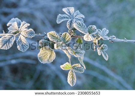 Similar – Cold morning Environment