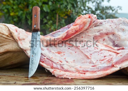 Slaughterer knife and pieces of pig over wooden trough. Traditional home slaughtering in a rural area, Extremadura, Spain