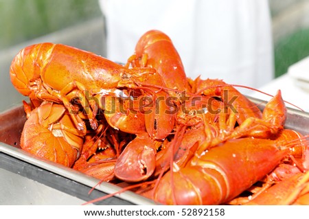 Mountain of lobsters at a corporate event