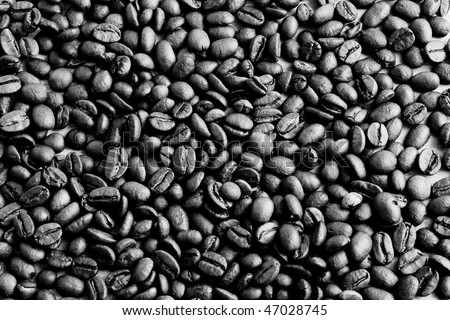 Black And White Image Of Coffee Beans Stock Photo 47028745 : Shutterstock