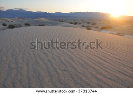 Sunrise over the Desert.