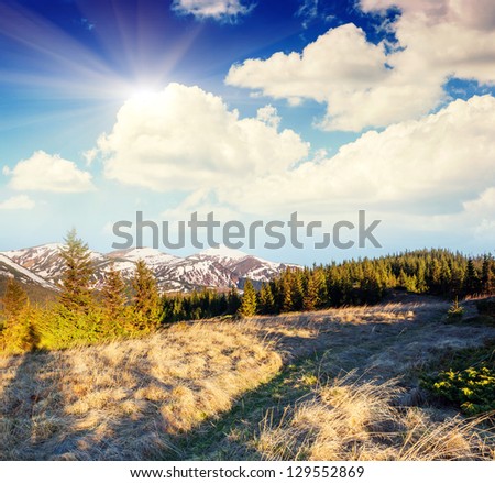 Beautiful sunny day is in mountain landscape. Carpathian, Ukraine. Europe