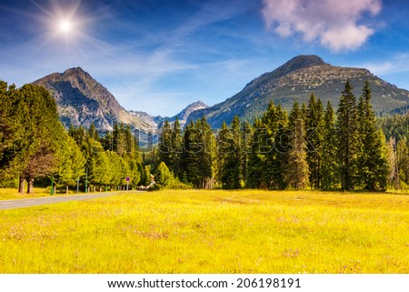 Fantastic mountain meadows in National Park High Tatra. Dramatic scenery. Strbske pleso, Slovakia, Europe. Beauty world.