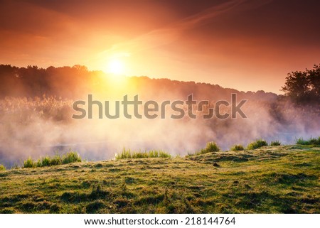 Fantastic foggy river with fresh green grass in the sunlight. Sun beams through tree. Dramatic colorful scenery. Seret river, Ternopil. Ukraine, Europe. Beauty world.