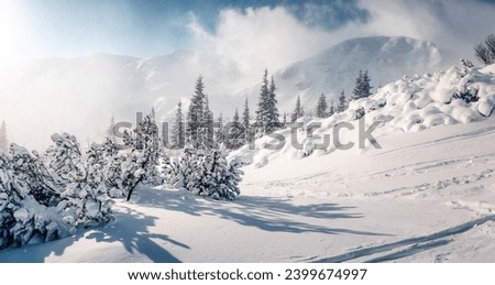 Similar – Image, Stock Photo Amazing landscape of snowy rocks on sea coast in cloudy winter day