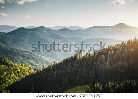 Similar – Image, Stock Photo Magnificent view the coniferous forest on the mighty Carpathians Mountains and beautiful cloudy sky background. Beauty of wild virgin Ukrainian nature, Europe. Popular tourist attraction.