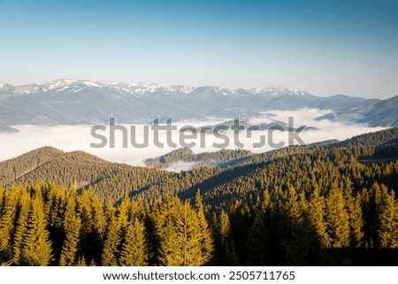 Similar – Image, Stock Photo Magnificent view the coniferous forest on the mighty Carpathians Mountains and beautiful cloudy sky background. Beauty of wild virgin Ukrainian nature, Europe. Popular tourist attraction.