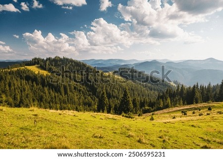 Fantastic scene of green meadows and forested mountain ranges in sunny weather. Location place Carpathians, Ukraine, Europe. Ecologically clean area. Photo wallpapers. Discovery the beauty of earth.