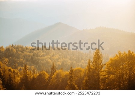 Similar – Image, Stock Photo An amazing golden hill in the Andes like a vein of gold