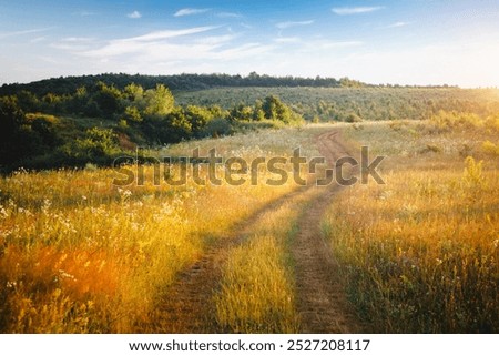 Similar – Image, Stock Photo Country road and path surrounded by fields with barley and rape, two trees standing at the roadside in front of a blue sky with little clouds and sunshine