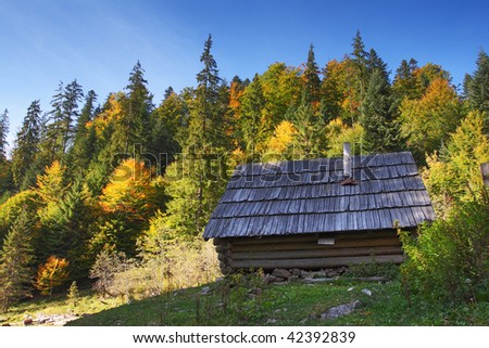 An old house during fall of the year in forest