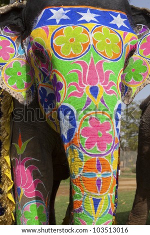 Decorated elephant at the annual elephant festival in Jaipur, India