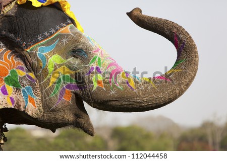 Similar – Image, Stock Photo Elephant eye with painted flowers