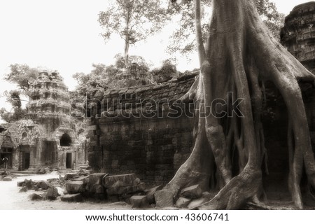 Huge tree grown on Ta Prohm temple wall and view at temple tower, Angkor, Cambodia, infrared-monochrome image.