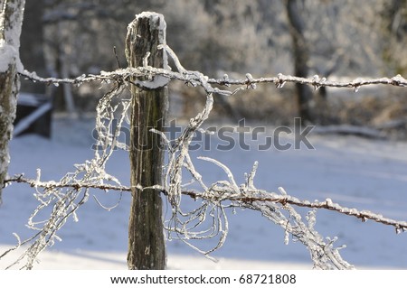 Old barbed wire with lot of ice and snow