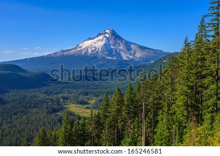 Majestic View of Mt. Hood on a bright, sunny day during the summer months.