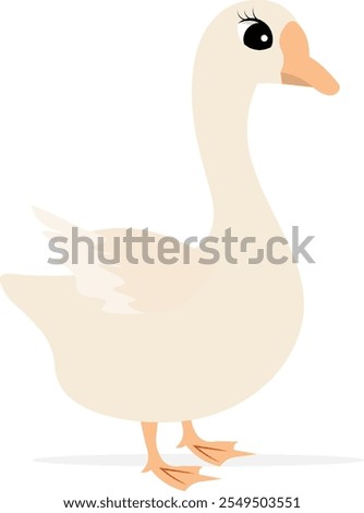 Similar – Image, Stock Photo a white goose flaps its wings