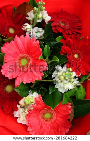 Bouquet of red Gerbera flowers surrounded by white flowers and leaves