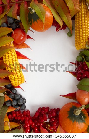 Close-up frame of a large quantity of vegetables