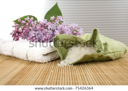 Towel, a branch of lilac and green bag with scattered sea salt