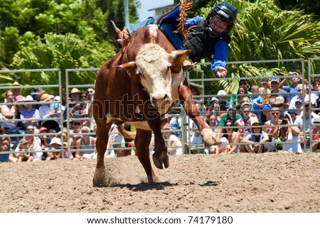 GOLD COAST, AUSTRALIA - JANUARY 26: Unidentified brave little boy rides bull on January 26, 2011 in Gold Coast, Queensland, Australia. The rodeo show was part of Australia Day celebration.