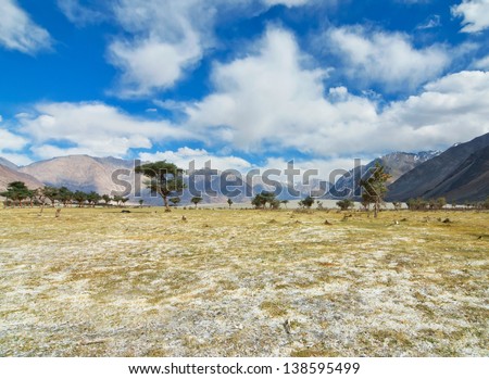 dry and arid landscape in high altitude desert of Ladakh