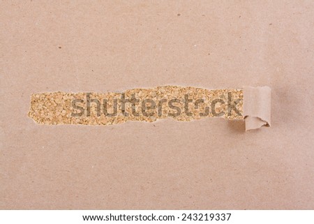 Brown package paper torn to reveal corkboard panel ideal for copy space.